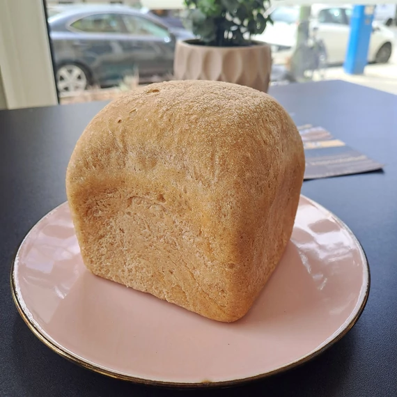 Cirok buci